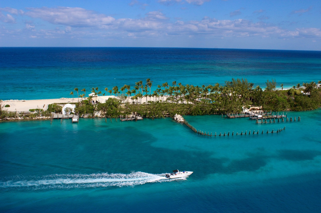 picture of Grand Bahamas.
