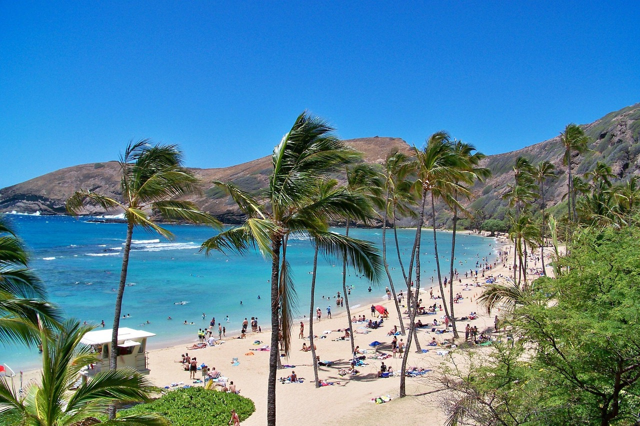 Picture of Oahu Beach in Hawaii, USA.
